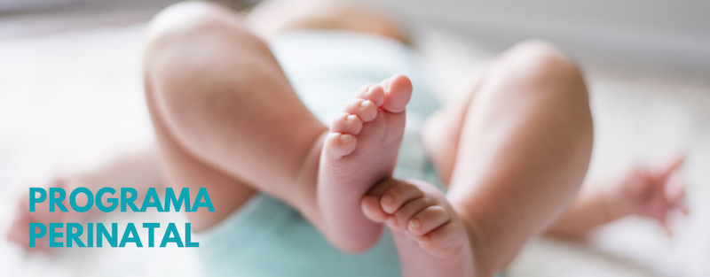 Cursos de psicología perinatal sistémica